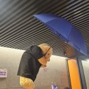 주식회사캐스팅엔 | [어쩌면 해피엔딩]대오열극 전석매진 피켓팅 뚫고 다녀온 후기