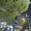 호텔 더 디자이너스 리즈 강남 프리미어 | [호텔 더 디자이너스 리즈강남] 강남 신논현 숙소 후기/ 슈페리어 패밀리 트윈룸/ 간단리뷰 내돈내산