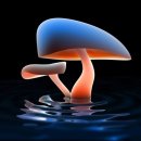 신세대헤어 Daum카페