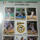 군산트라이쌍방울