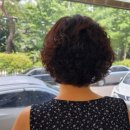 윤건미장