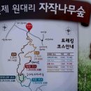 인제17-3 이미지