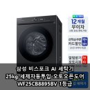 오토25 | 삼성 비스포크 AI 세탁기 25kg 세제자동투입 오토오픈도어 WF25CB8895BV 1등급 장단점 후기