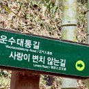 1박 2일 담양 여행 옥빈관 미각 담양양갱 촌캉스 고양이 죽녹원 국수거리 담양 메타세쿼이아 가로수길...
