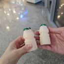스팀클라쓰 - 서산시 예천8로 22-6 | 용인 샤브샤브 맛집 추천 기흥ICT밸리맛집 등촌샤브칼국수 가성비 굿