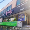 사파동300 이미지