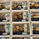 동인천역 교통광장 이미지