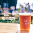 핫독빌리지 | 2018 인천 송도 맥주축제 후기