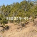 차우리다 이미지