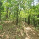 엄사면 엄사리 281 이미지