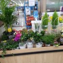 오창농협 하나로마트 이미지