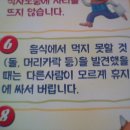 털다