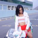 토로레이싱 이미지