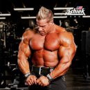 J2014 | SCHIEK J2014 제이커틀러 가죽 헬스 벨트 사용후기 및 추천 이유