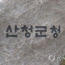 산청읍사무소 이미지