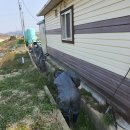 군산축산 이미지