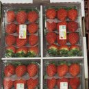 만월청과 이미지