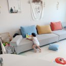 야니랜드 이미지