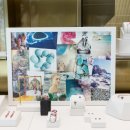 모니카비나더 카카오 검색결과