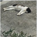 뮤즈세움 이미지