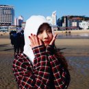 플라워JuJu 이미지