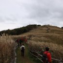 능전주차장 이미지