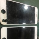 동순천 서비스 이미지