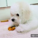 냠냠 이미지