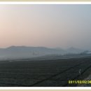 보리와철새 이미지