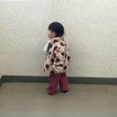 GS25 일산다온점 | 17개월 아기랑 가기 좋은 아쿠아플라넷 일산 • 주말 방문 솔직 후기