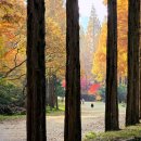 사진교실 이미지