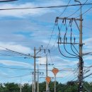 함덕연세의원 | 제주대 학점교류 준비물 &amp; 총비용&amp;후기