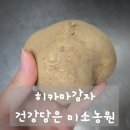 칠갑산농원 | 히카마 감자? 맛과 식감 최고! 건강담은미소농원에서 구매했어요 :)