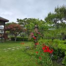 해찬민박 이미지