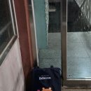 [베베쿡]이유식이 어려운 초보맘의 시판 이유식으로 초기1단계 완주하기!
