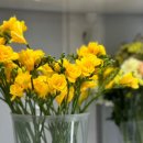 꽃블리안양범계역점 | 꽃블리 안양범계점, 안양범계꽃집, 범계꽃집추천