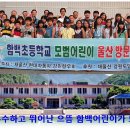 함백초등학교 Daum카페