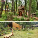 서울 첫 자연휴양림 '수락 휴(休)' 정식 개장…예약은? 이미지