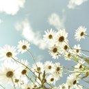 예사랑 - 보령시 고대도2길 49 | 예사랑
