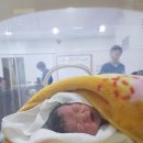다나여성병원 이미지