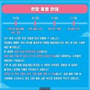 러브편의점 | 러브칩스 페스티벌 2025 일정 라인업 후기 티켓예매 완벽가이드