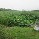 준공업단지사거리 이미지