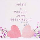 싶은 이미지