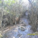 뾰족산 펜션 이미지