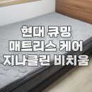 클린플러스세탁 | 현대렌탈 큐밍 매트리스 케어, 충주시 주덕읍 단독주택, 지나클린 비치움