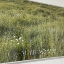 백화stay 이미지