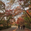 금지순환길 이미지