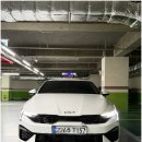 본렌트카 | 강남전연령렌트카 추천, 신논현 알파렌트카 직접 이용해본 후기