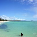 카일루아(Kailua) 이미지