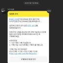 블루앤화이트 이미지